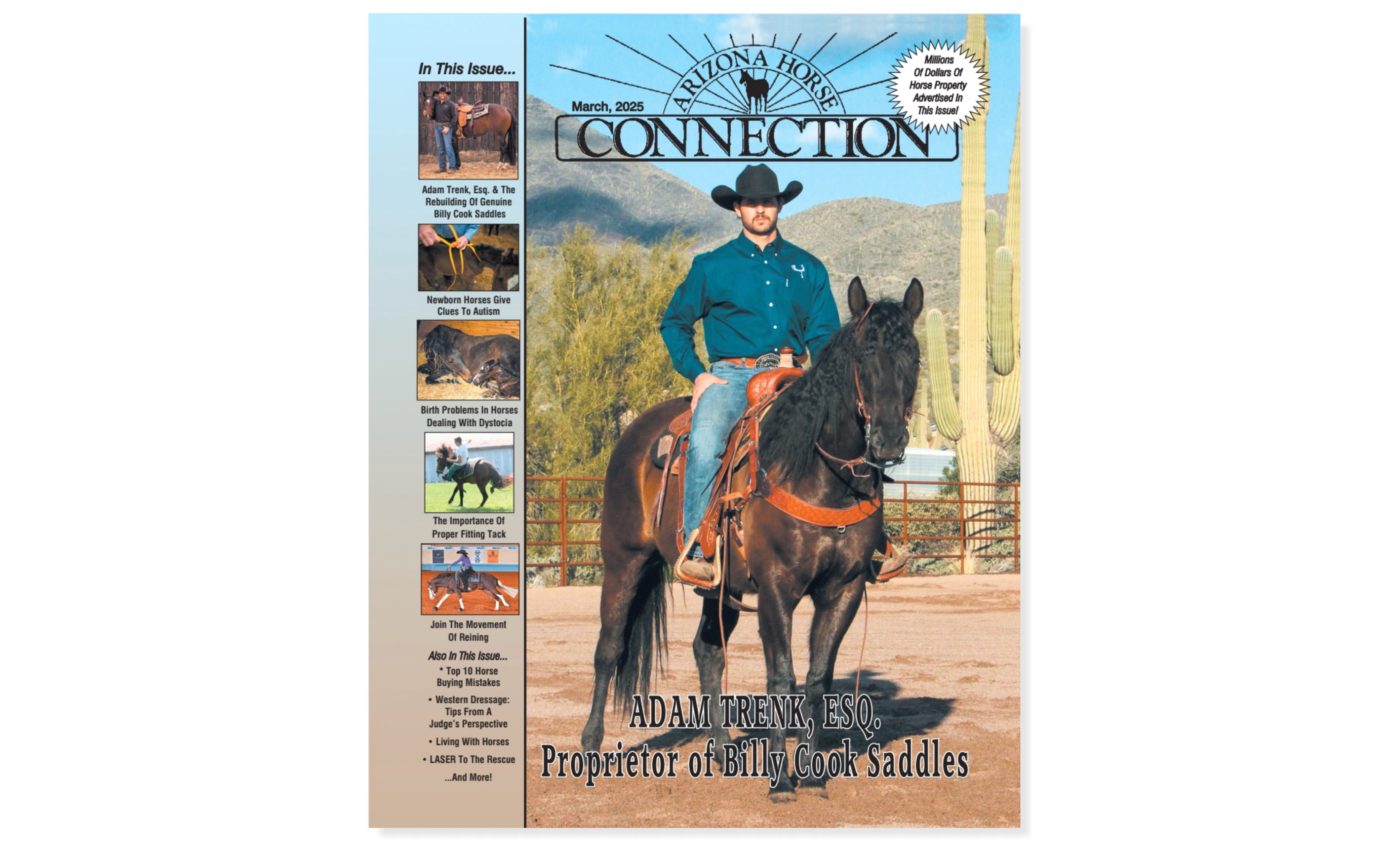 Featured in Arizona Horse Connection