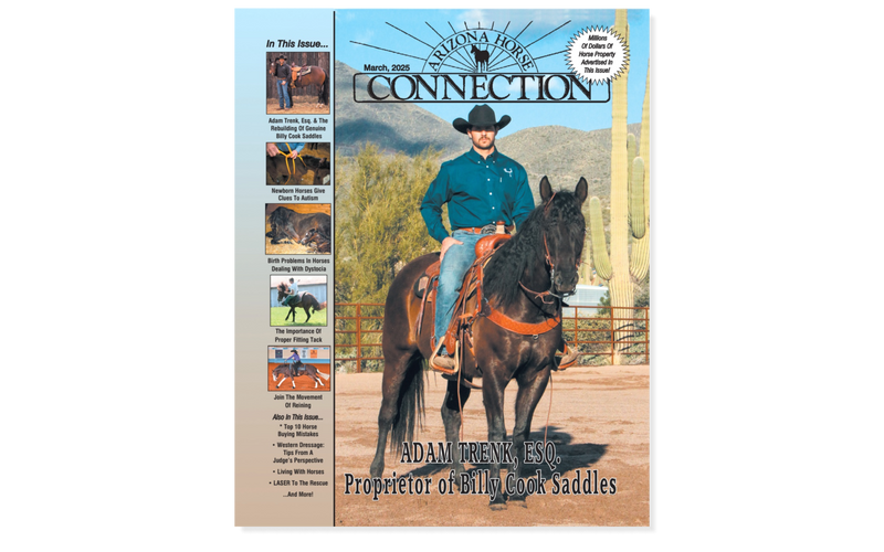 Featured in Arizona Horse Connection