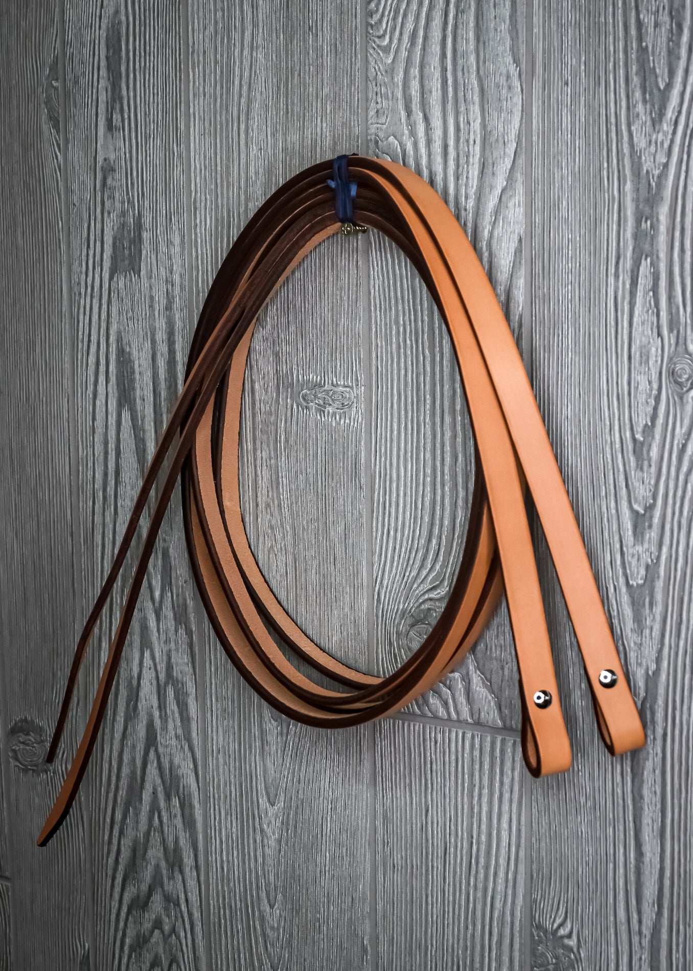 Reins 3/4" - Genuine Billy Cook 