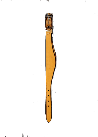 Stirrup Hobbles - Genuine Billy Cook 