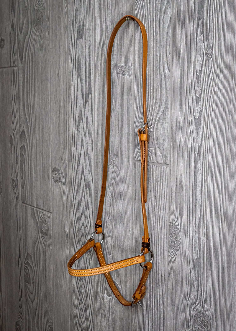 Caveson, All Leather - Genuine Billy Cook 