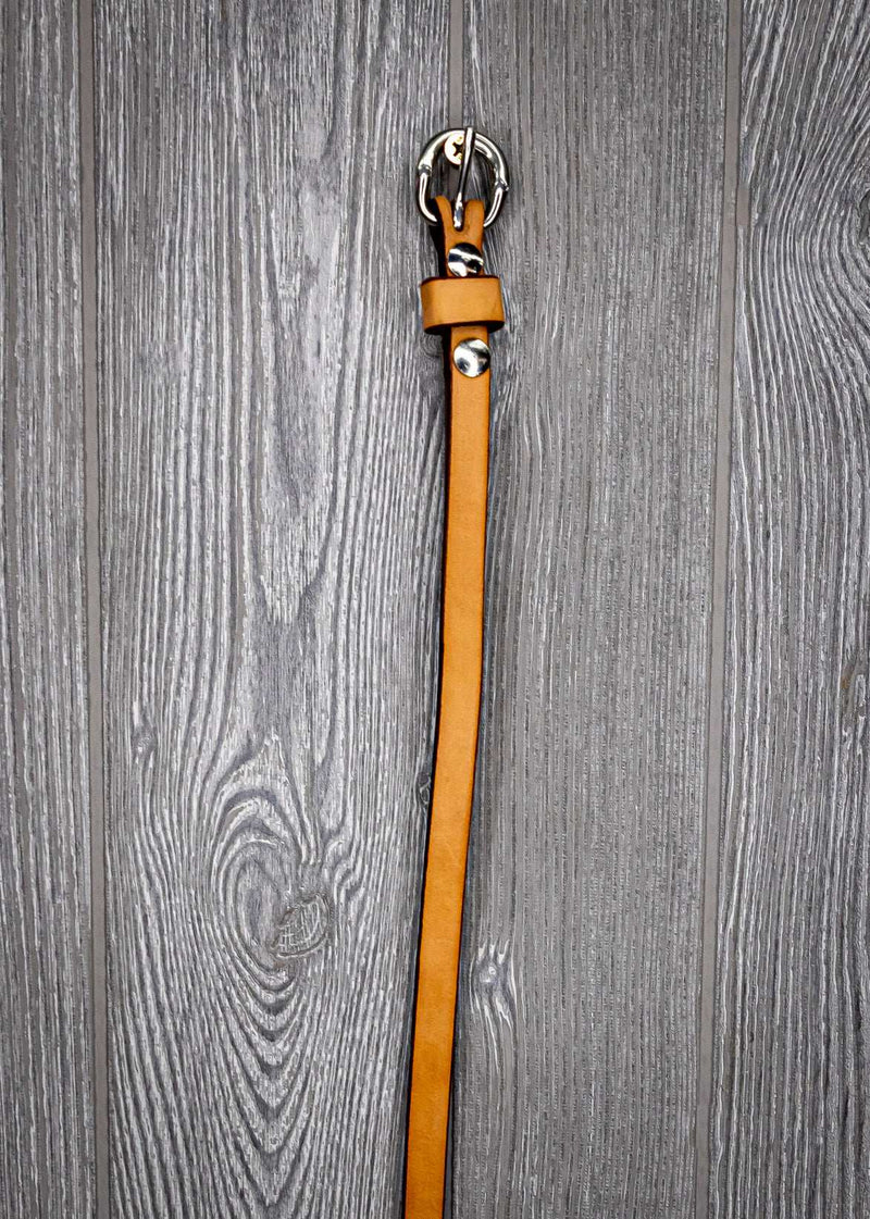 1/2" Throat Latch Ss Buckle, 44" Long - Genuine Billy Cook 