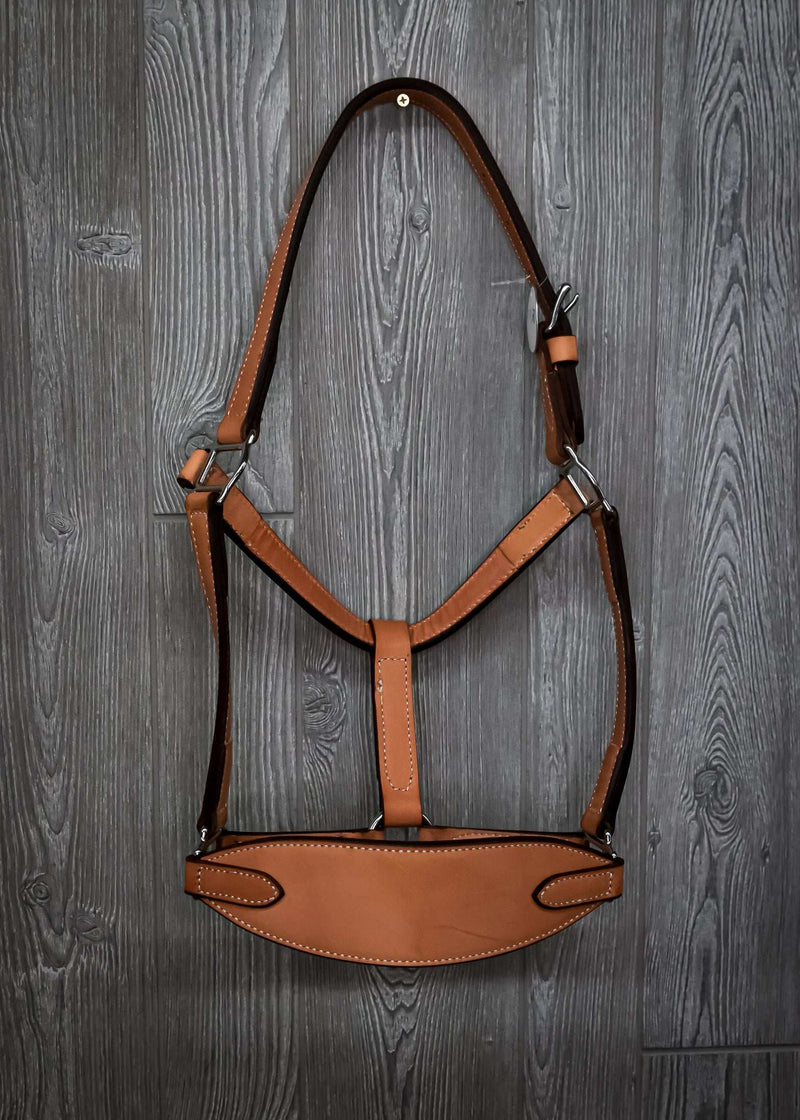 Leather Wide Nose Band Halter - Genuine Billy Cook 