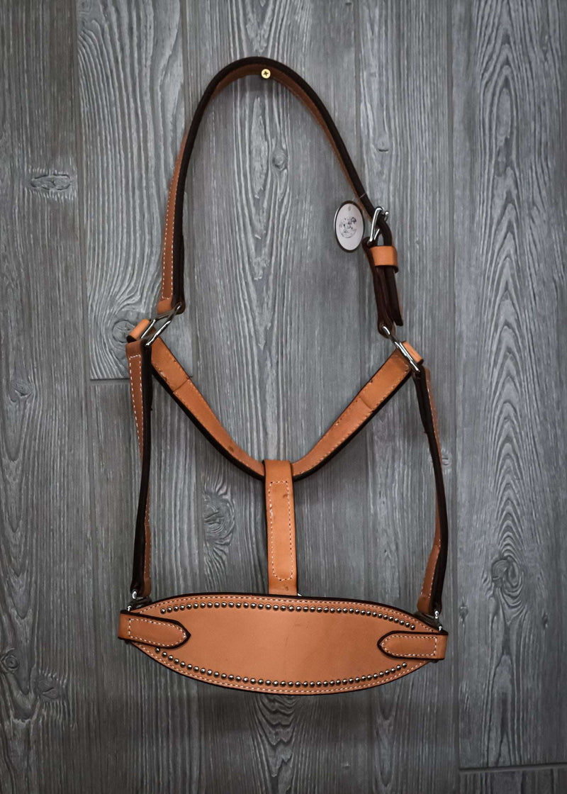 Leather Wide Nose Band Spotted Halter - Genuine Billy Cook 