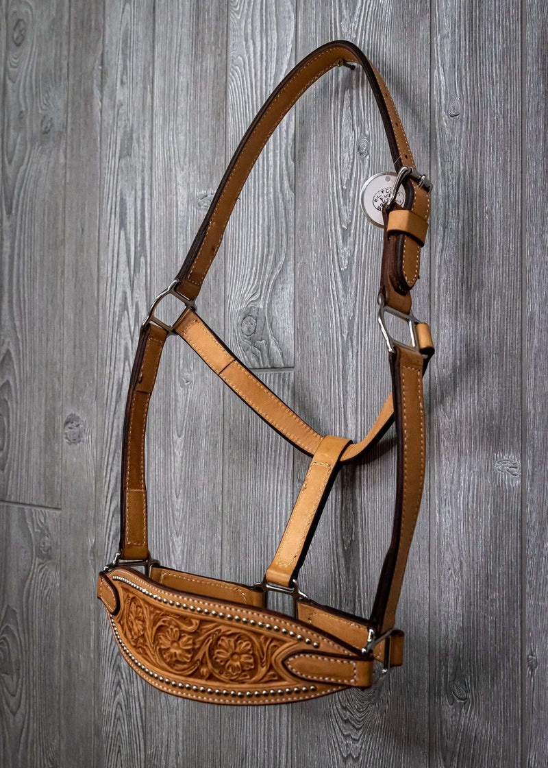 Leather Halter Wide Nose Band Sheridan With Spots - Genuine Billy Cook 