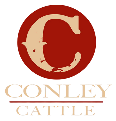 Sponsor logo 5