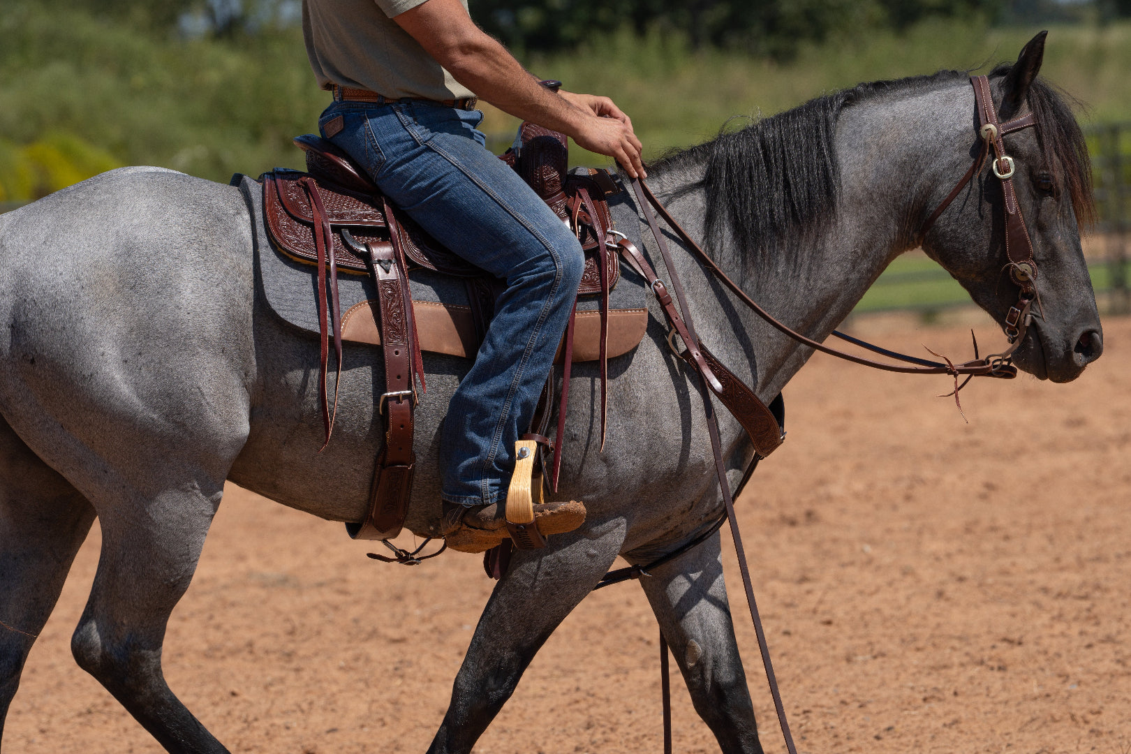 Person riding a gray horse on a dirt path with greenery in the background