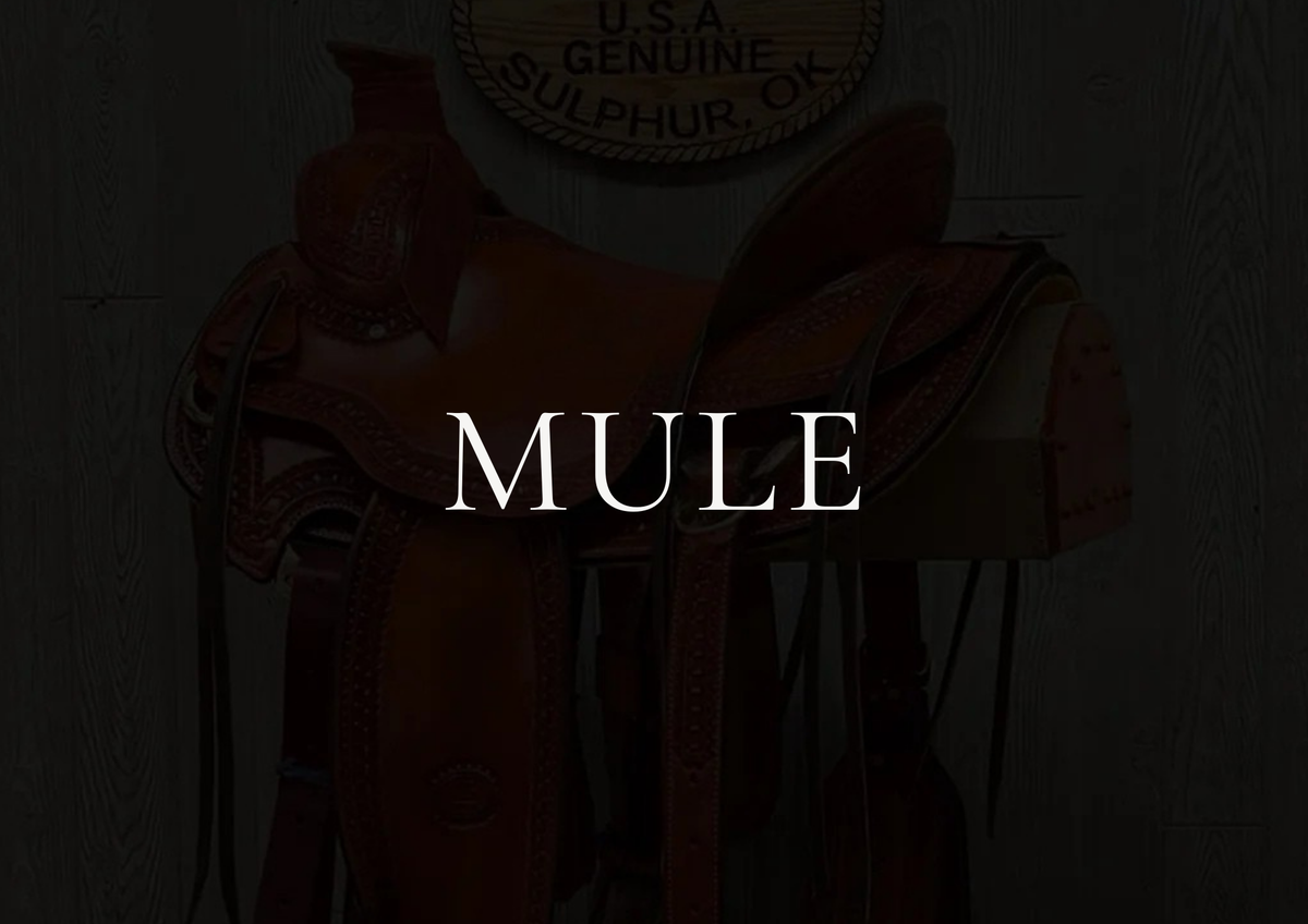 Saddle Collection – Genuine Billy Cook